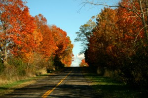fall highway