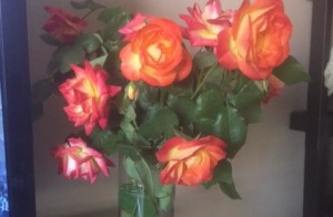 Roses from my yard in vase