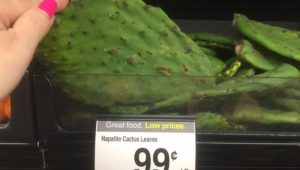 Cactus at grocery store