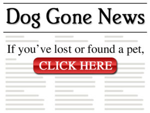 Dog Gone News