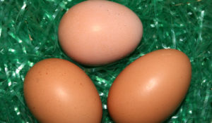 eggs-from-next-door