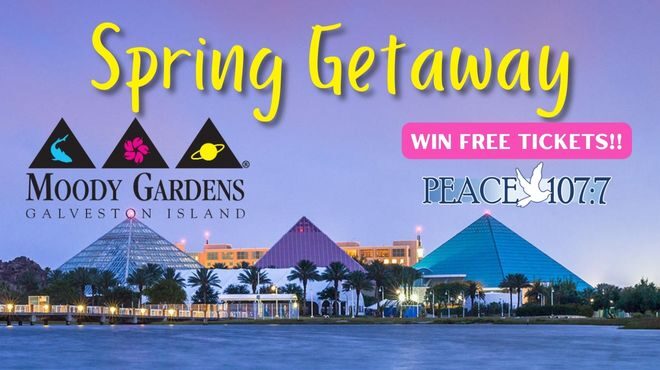 Win a Spring Getaway to Moody Gardens!!