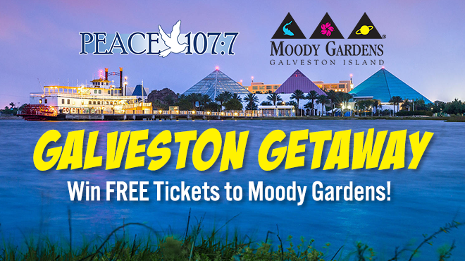 Win a Summer Getaway to Moody Gardens!
