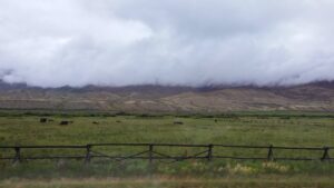 Foggy morning leaving Salmon, ID