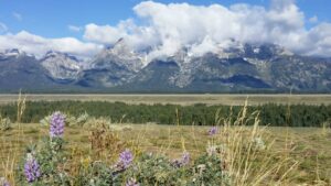 Grand Teton National Park